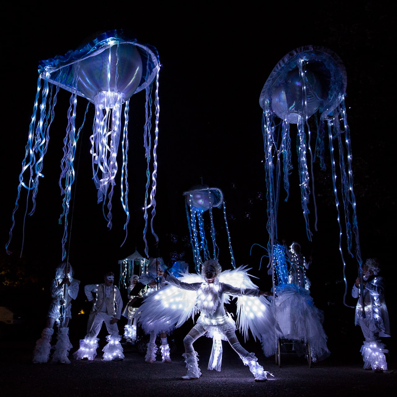 Sygne — parade lumineuse nocturne